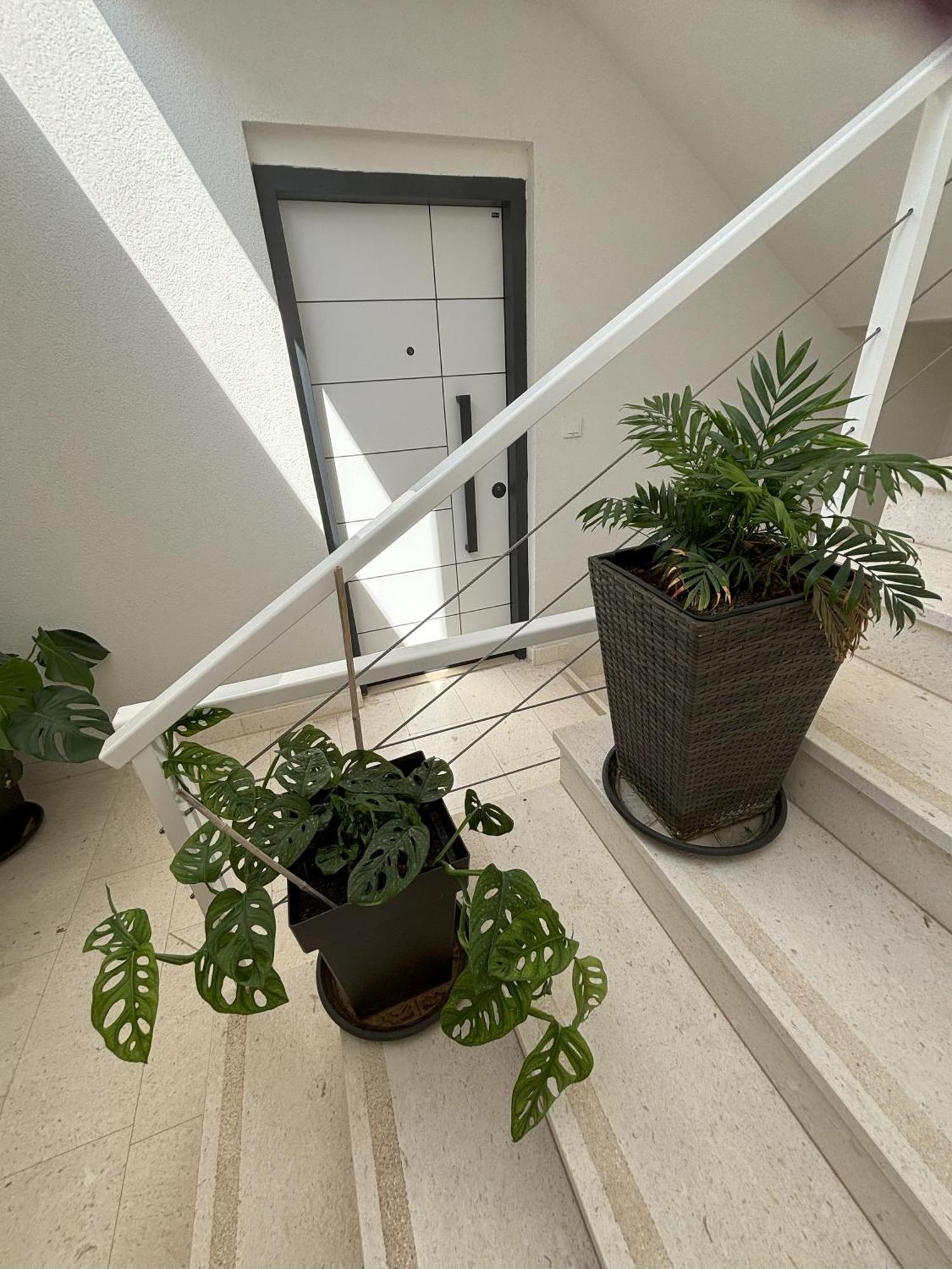 יזרה Vila Regina Apartment Regina With Swimming Pool מראה חיצוני תמונה